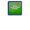 Accreditation Renewal